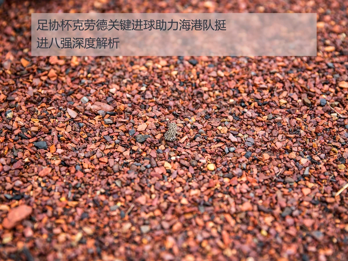足协杯克劳德关键进球助力海港队挺进八强深度解析